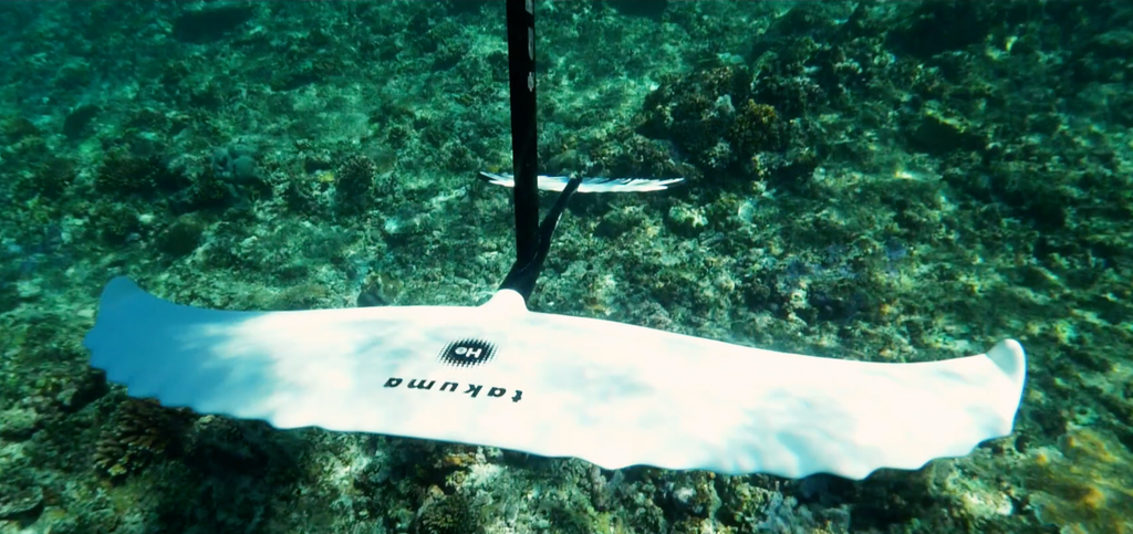 Takuma 1500 Helium Foil