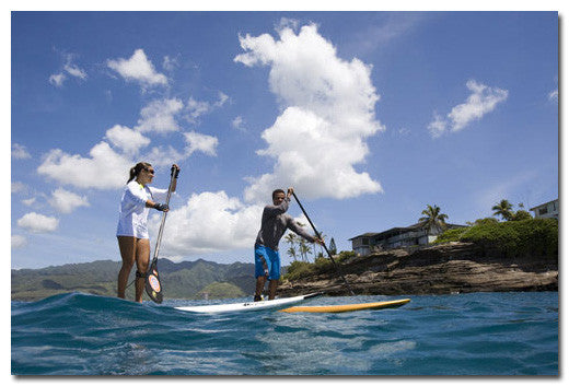 Stand Up Paddle Eco Tour